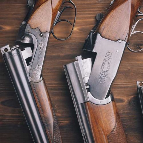 Choosing an Appropriate Firearm for Your Ranch or Homestead